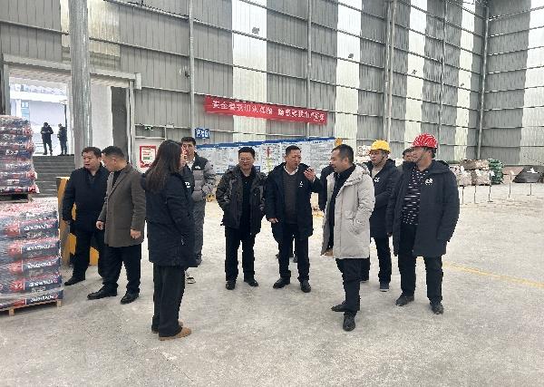 國家礦監(jiān)局楊凌云副司長一行蒞臨大業(yè)礦山調(diào)研指導